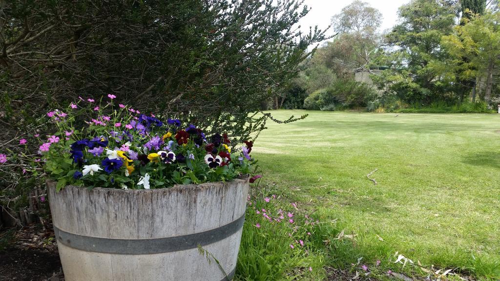 Padthaway Caravan Park Exterior foto